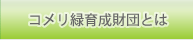 コメリ緑育成財団とは